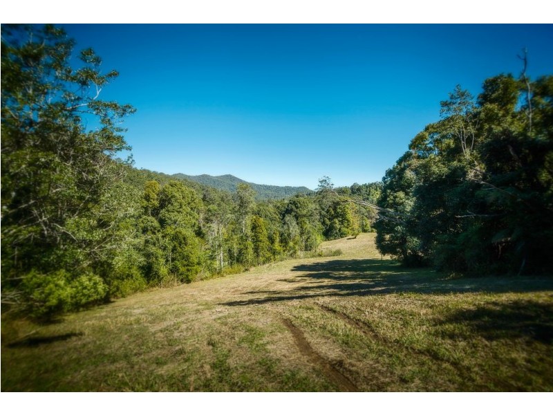 2300 Kalang Rd, Kalang, Bellingen NSW 2454