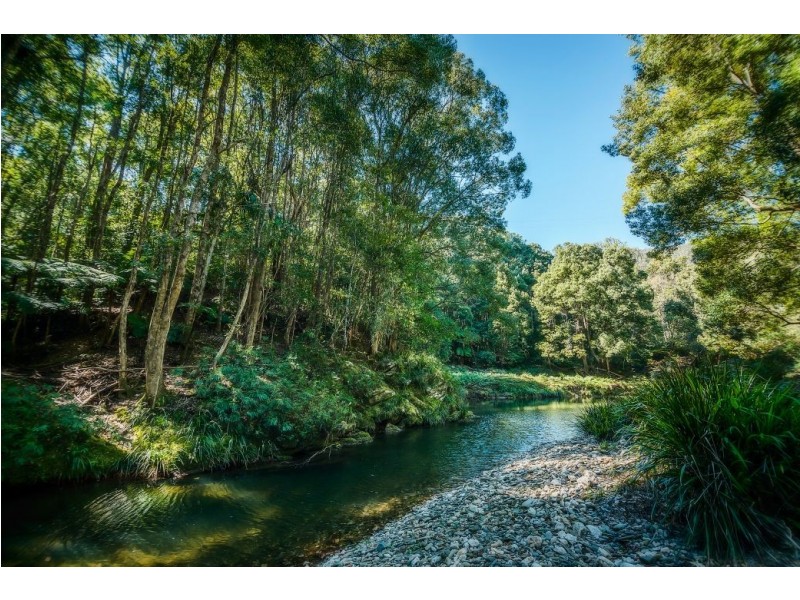 2300 Kalang Rd, Kalang, Bellingen NSW 2454
