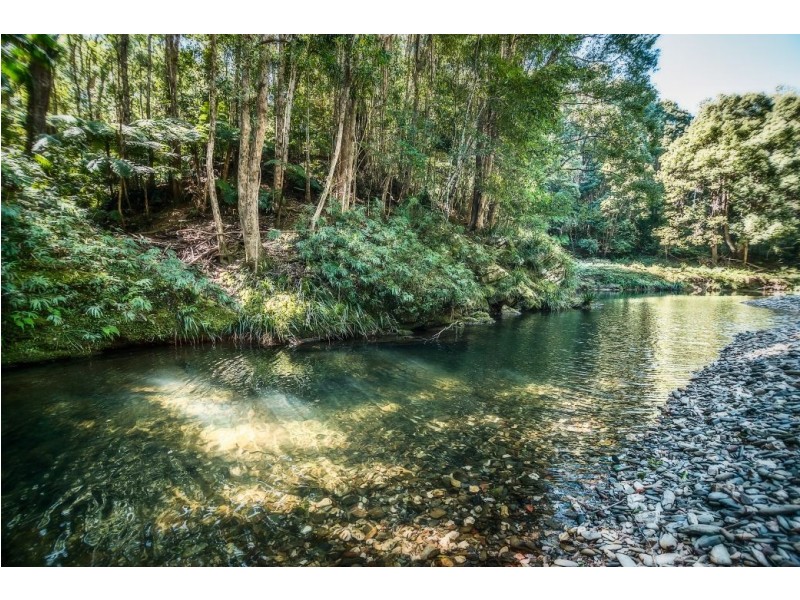 2300 Kalang Rd, Kalang, Bellingen NSW 2454