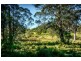 1983 Deervale Rd, Deer Vale, Dorrigo NSW 2453