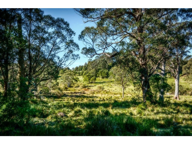 1983 Deervale Rd, Deer Vale, Dorrigo NSW 2453