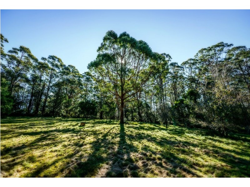 1983 Deervale Rd, Deer Vale, Dorrigo NSW 2453