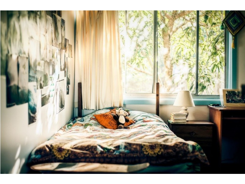 19 McNally St, Bellingen NSW 2454