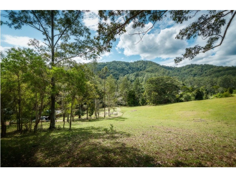 1261 Kalang Rd, Kalang, Bellingen NSW 2454