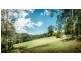 1261 Kalang Rd, Kalang, Bellingen NSW 2454