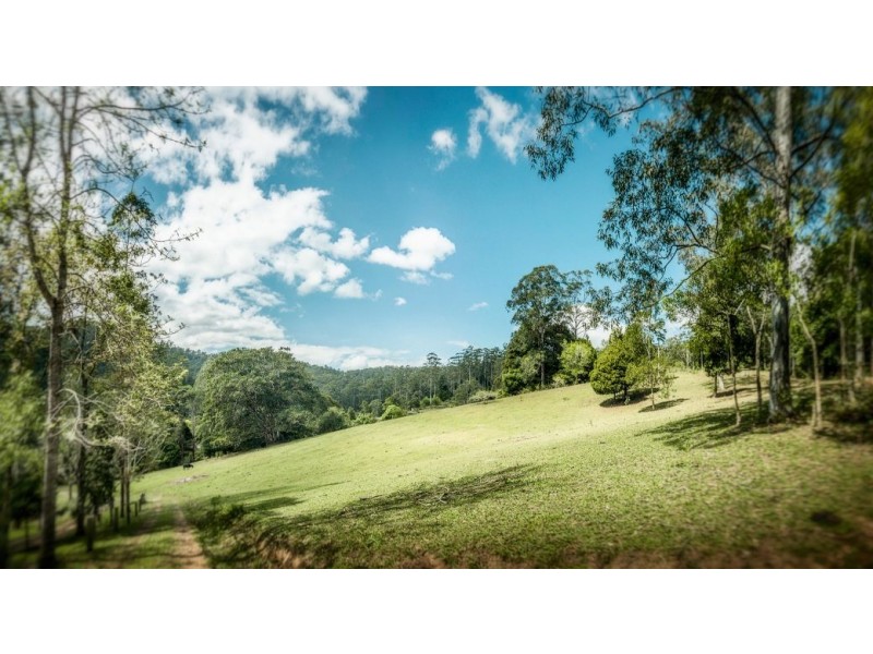 1261 Kalang Rd, Kalang, Bellingen NSW 2454