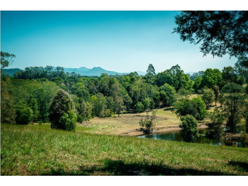 285 Irvines Rd, Tewinga Via, Urunga NSW 2455