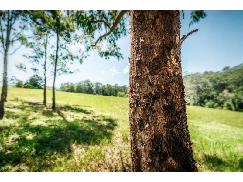 285 Irvines Rd, Tewinga Via, Urunga NSW 2455