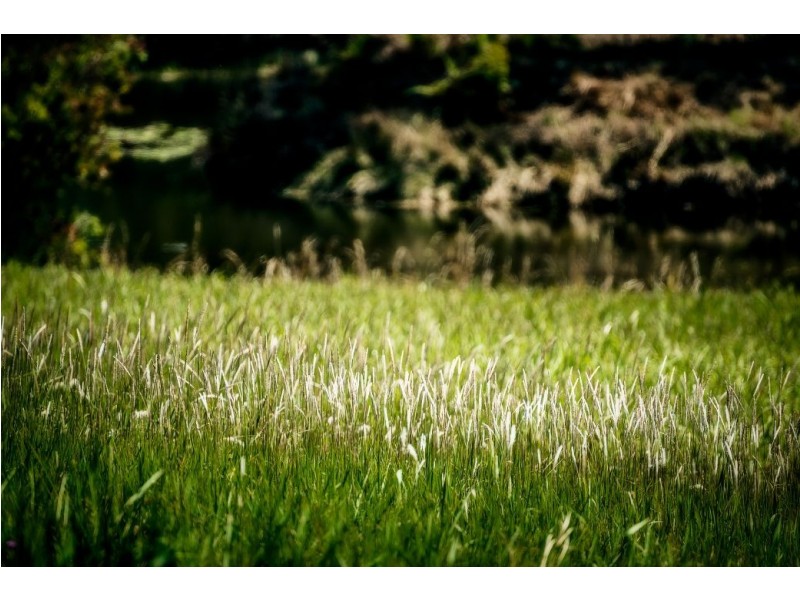 285 Irvines Rd, Tewinga Via, Urunga NSW 2455