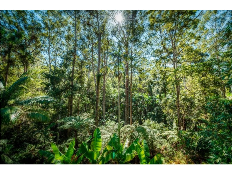 10 Morningside Dr, Valla Via, Urunga NSW 2455