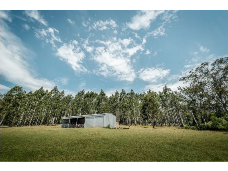77 Moonpar Rd, Bostobrick via, Dorrigo NSW 2453
