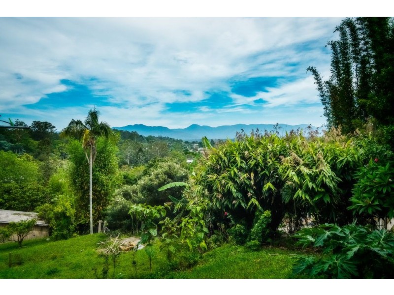 13 Ford St, Bellingen NSW 2454