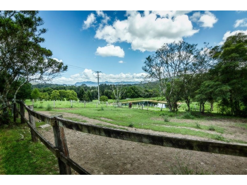 92 Hains Lane, BRIERFIELD,, Bellingen NSW 2454