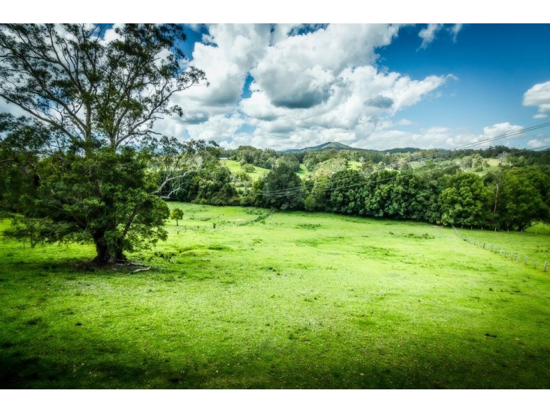 92 Hains Lane, BRIERFIELD,, Bellingen NSW 2454