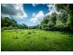 92 Hains Lane, BRIERFIELD,, Bellingen NSW 2454