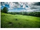 92 Hains Lane, BRIERFIELD,, Bellingen NSW 2454
