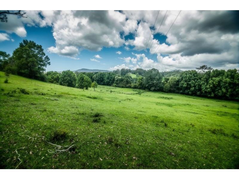 92 Hains Lane, BRIERFIELD,, Bellingen NSW 2454