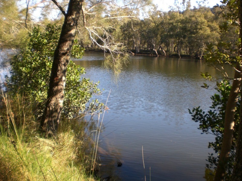 Lower Mangrove NSW 2250