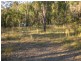 Lower Mangrove NSW 2250
