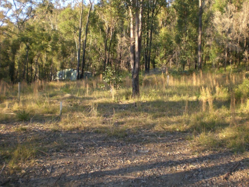 Lower Mangrove NSW 2250