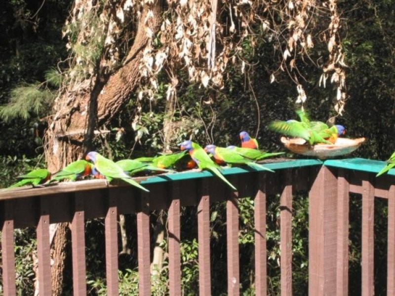 Narara NSW 2250