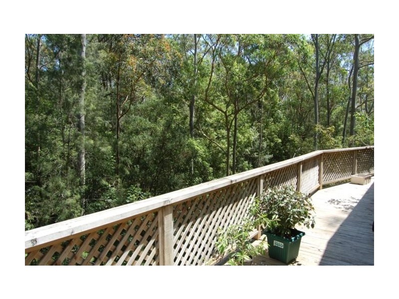 North Gosford NSW 2250