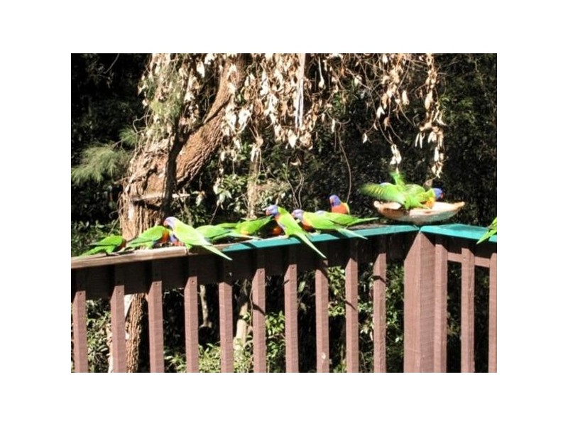 Niagara Park NSW 2250