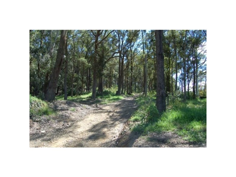 Lisarow NSW 2250