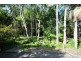 103 Carrington St, Narara NSW 2250