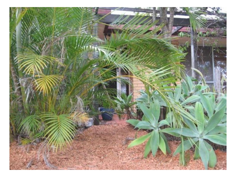 5 Apunya Close, Riverhills QLD 4074