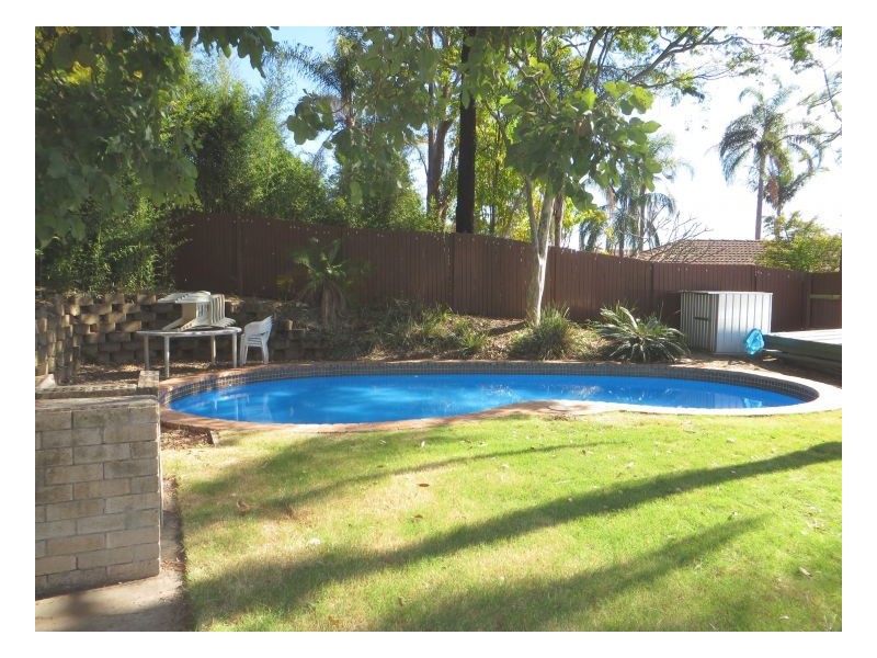 Jamboree Heights QLD 4074