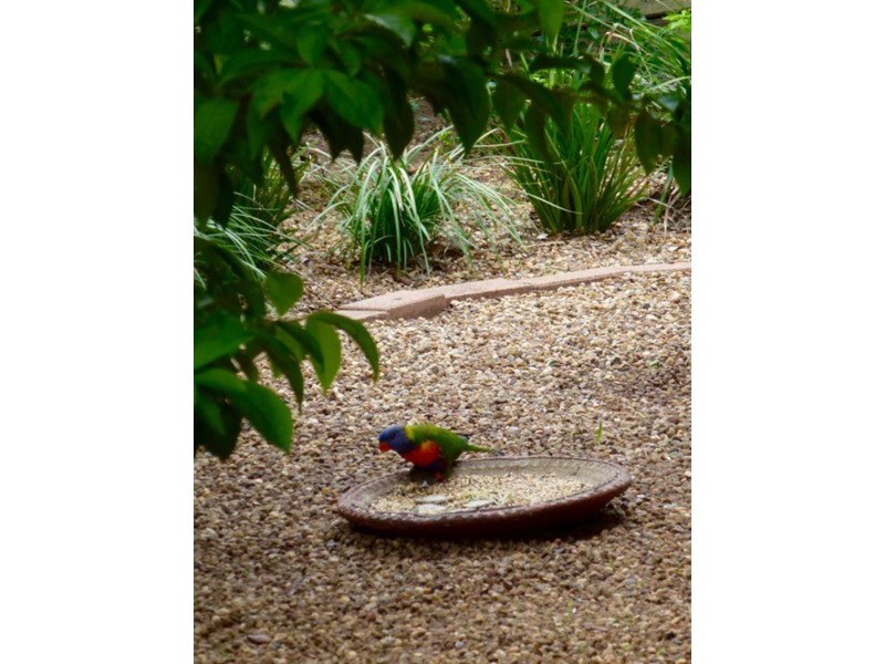 Forest Lake QLD 4078