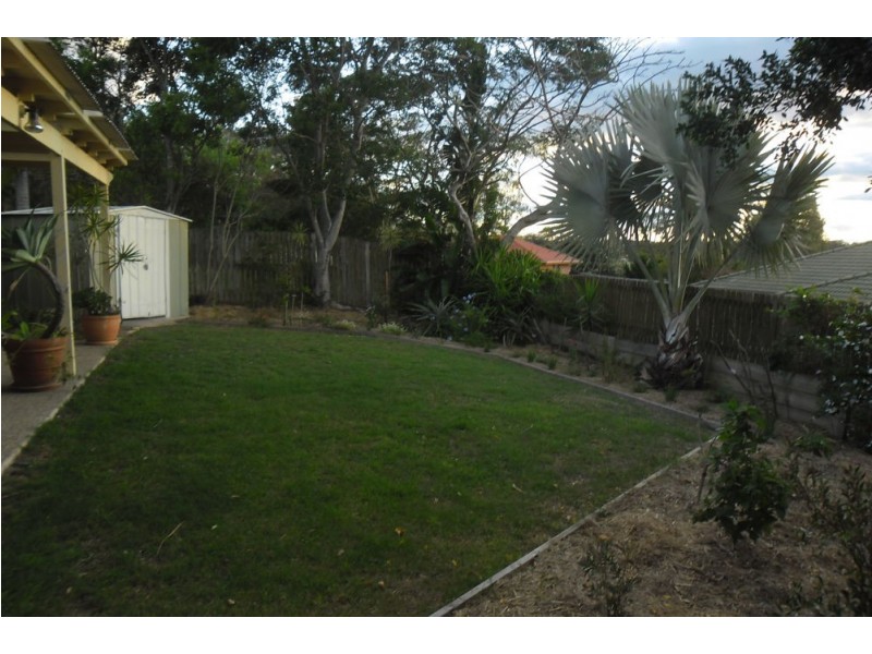 12 Windflower Place, Springfield QLD 4300