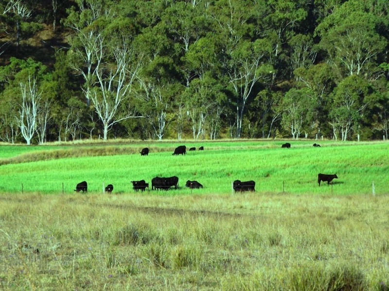 ‘Paragon” 622 South Branch Road, Maryvale QLD 4370