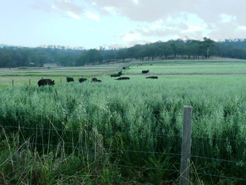 ‘Paragon” 622 South Branch Road, Maryvale QLD 4370