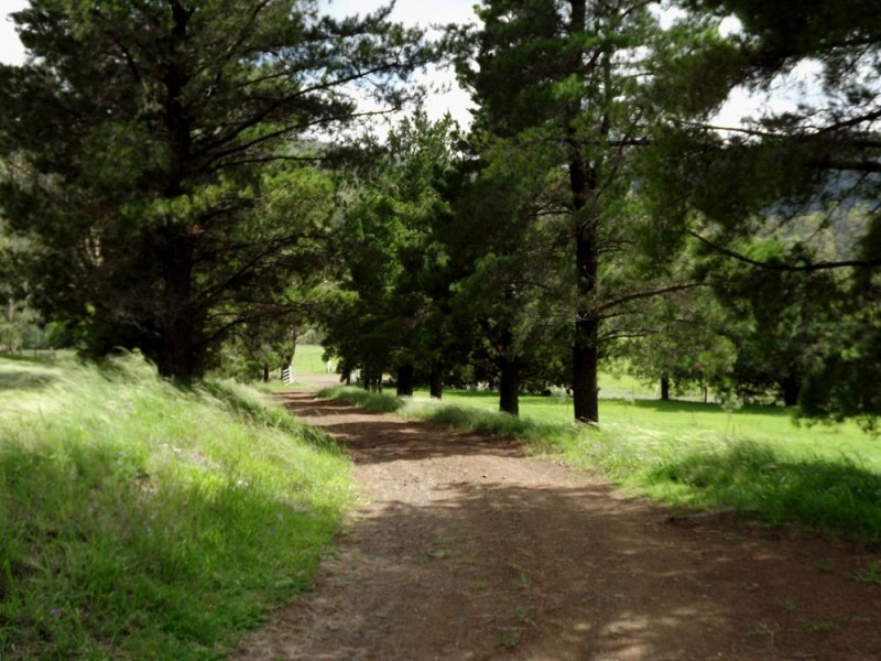 ‘Paragon” 622 South Branch Road, Maryvale QLD 4370