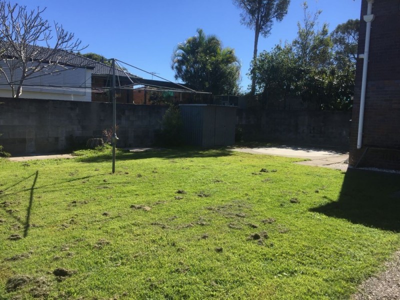 41 TIMBARRA CRESCENT, Jindalee QLD 4074