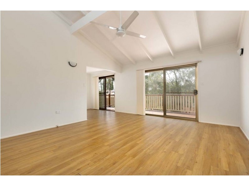 Jamboree Heights QLD 4074