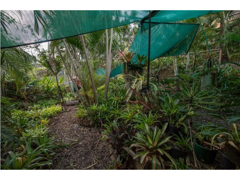 Jamboree Heights QLD 4074