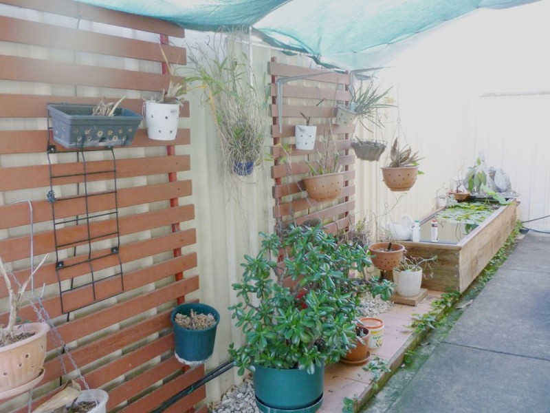 33 Cobbadah Street, Jindalee QLD 4074