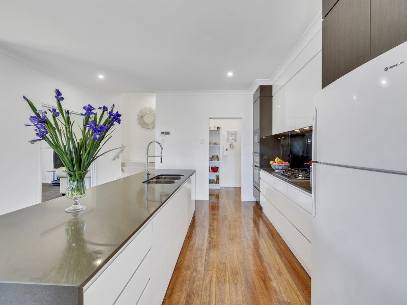 38 Magnetic Way, Springfield Lakes QLD 4300