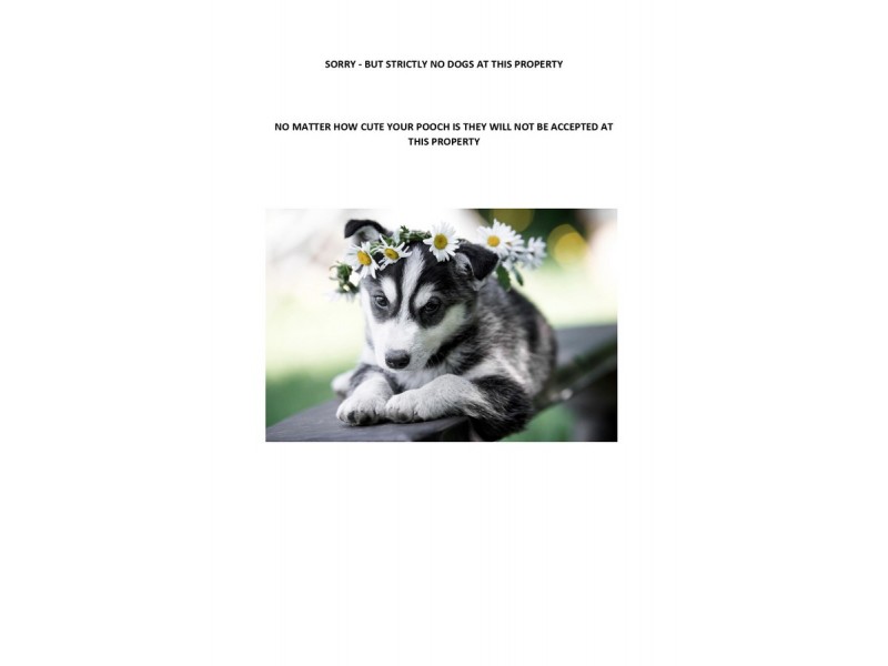 6 Romulus Circuit, Augustine Heights QLD 4300