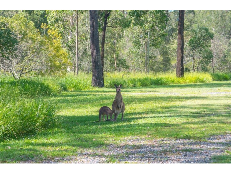 30 Wau Road, Darra QLD 4076