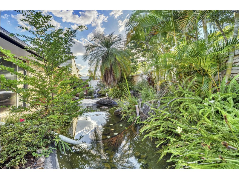 3 Timaru Close, Westlake QLD 4074