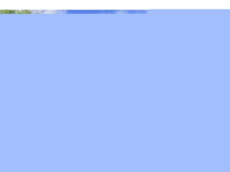 20 Cotter Crescent, Riverhills QLD 4074