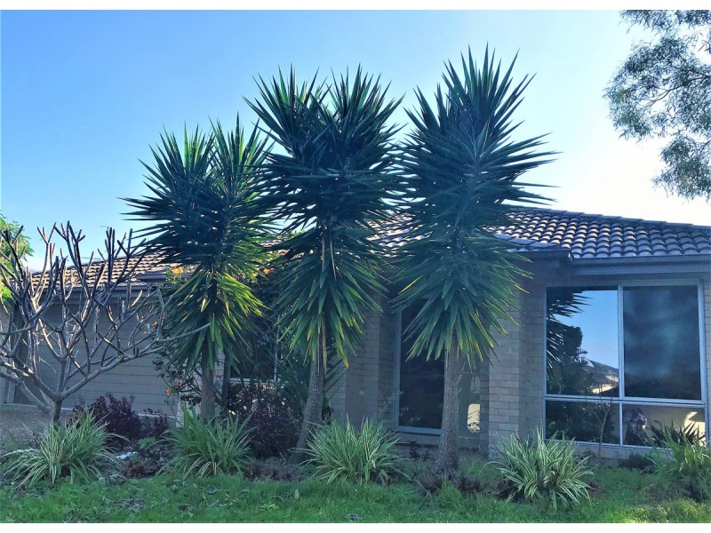 11 Acacia Street, Heathwood QLD 4110