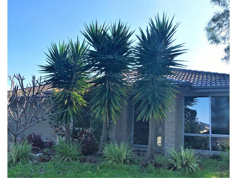 11 Acacia Street, Heathwood QLD 4110