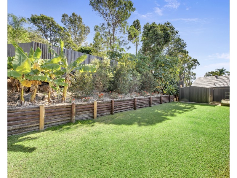 51 Andaman Street, Jamboree Heights QLD 4074
