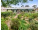 49 Donatello Street, Fig Tree Pocket QLD 4069