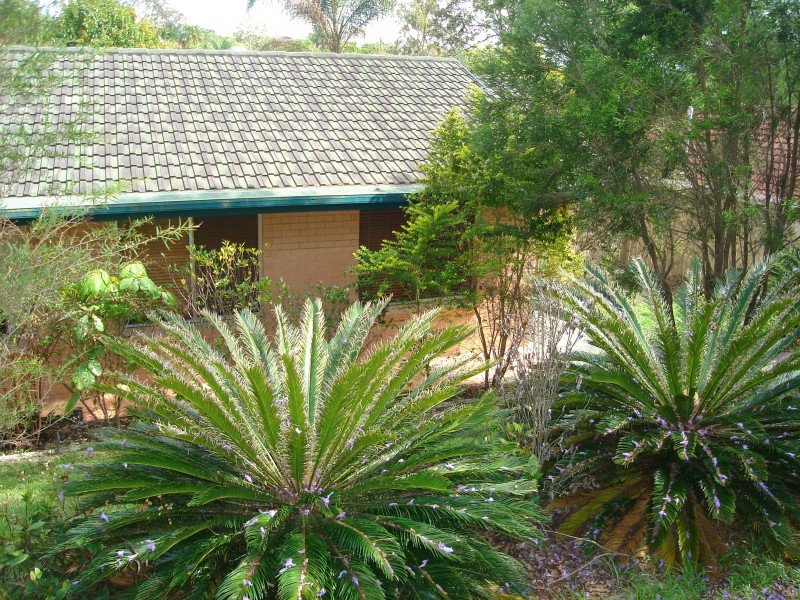 Jindalee QLD 4074
